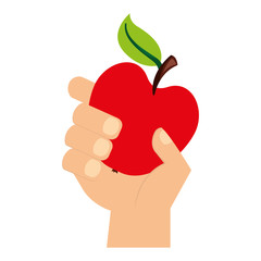 hand holding apple fresh food