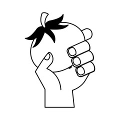 hand holding fresh tomato vegetable