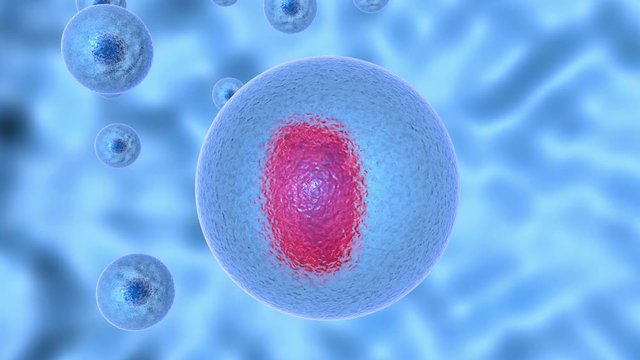 3D animation of process infecting living cell of pathogenic microorganism. Pathogenic microorganism divides inside the living cell then lyses the cell wall.