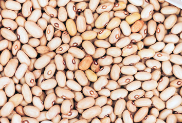 Beans background (Phaseolus) – food for veggies