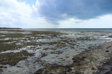 モノクロの竹富島の海