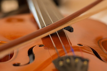 Geige, Violine