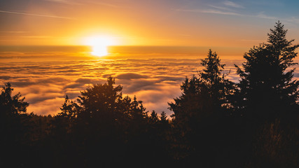 Beautiful sunset above the clouds at the Waldwipfelweg-Saint Englmar-Bavaria-Germany