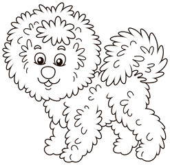 Little curly Bichon Frise lap-dog friendly smiling, black and white vector illustration in a cartoon style for a coloring book