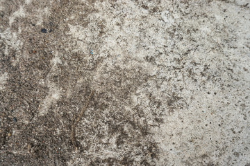 Top view of old cement floor with black dry dead moss.
