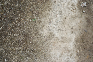 Top view of ground with dead grass and old Cement floor. Background/texture.