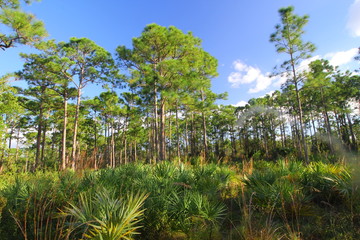 Oxbow Eco-center, Fort Pierce, Florida