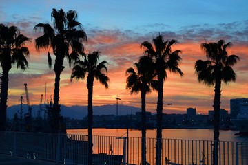 paesaggio marino con sagome di alberi di palma al porto di Malaga in Spagna all'ora del tramonto