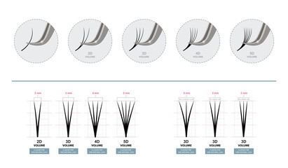Volume Eyelash Extensions. Artificial Lashes. Master of Eyelash Extensions works with Tweezers. Vector Illustration. Template for Makeup and Cosmetic Procedures. Training poster. Guide