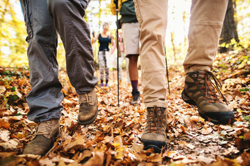 Close up of hikers' legs walking through woods. Autumn time.