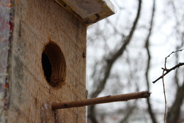 the house of the little bird awaits the owner
