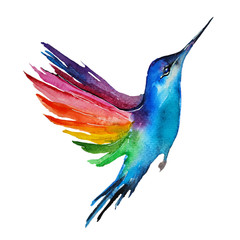 Watercolor blue bird with colorful wings. Multicoloring hummingbird isolated on white background. Hand painted colibri illustration.