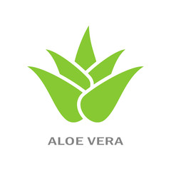 Aloe vera vector icon