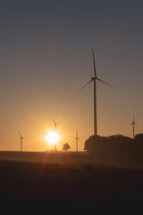 Obraz premium windmill at sunrise