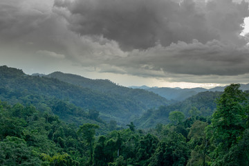 Beautiful views of trees, mountains and sky.