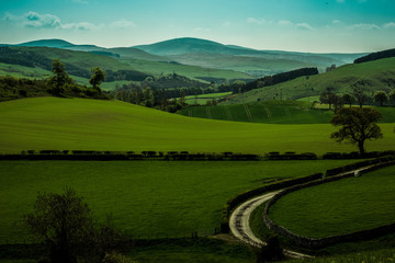 View across Scottish Border Hills, while walking up to Heip Hill on the outskirts of Hawick