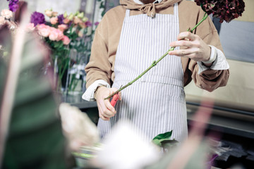 Competent florist composing flowers for sale in salon