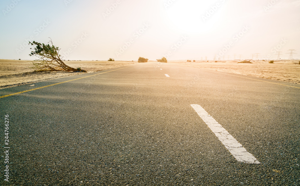 Wall mural Desert road in the Middle East