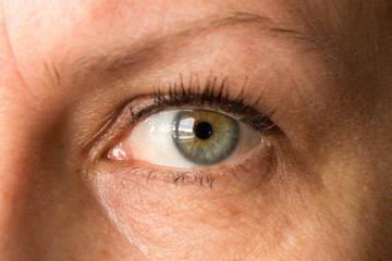 Girl's eye. Close up. Human eye. Macro