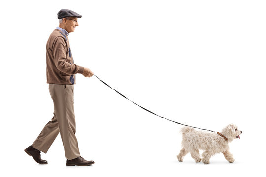 Senior walking a dog