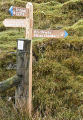 New Wooden footpath sign