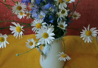 greeting card / A bouquet of daisies in a jug on a white wooden background.