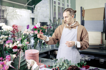 Attentive young male person examining white rose