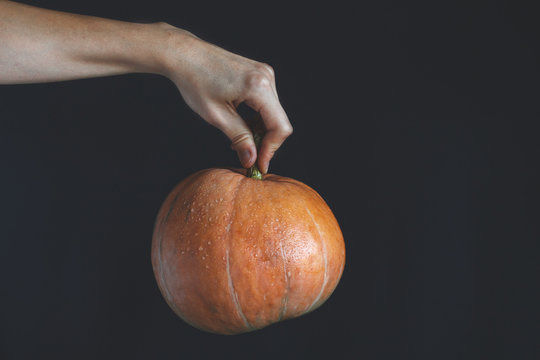 Orange pumpkin in female hahd on black background. Minimalism. Copy space. Vegetable, organic food concept.