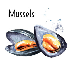 Mussels, seafood. Watercolor hand drawn illustration isolated on white background © dariaustiugova