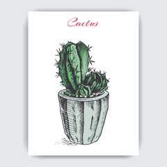 Sketch hand drawn illustration cactus card.