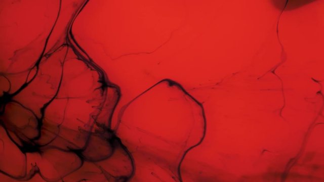 Acrylic paint organically flows in the liquid