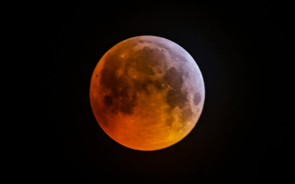 Wolf Blood Supermoon Eclipse