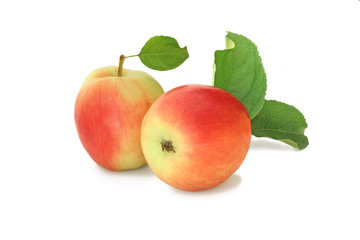 Two apples with leaves isolated on white