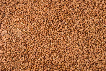 image of buckwheat close up
