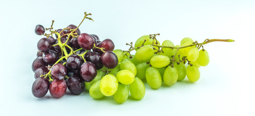 Grape with white background