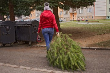  Christmas is over.A woman with a red handbag and a jacket carries a pine tree to the container....