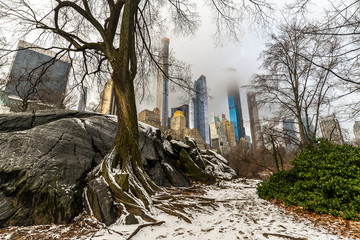 Winter in the Park - New York