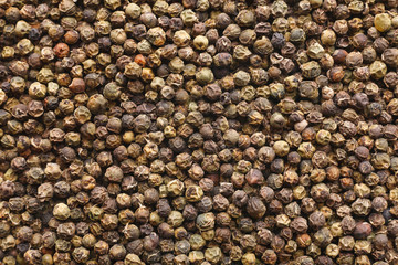 Organic spices concept