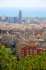 Fototapeta na wymiar Aerial view of Barcelona from Park Güell.