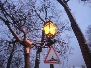 lantern illuminates the branches of trees