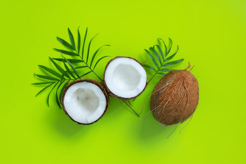Coconut halves and palm leaves on the bright green