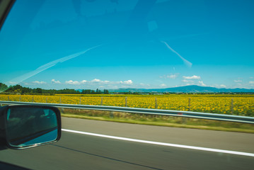 window view of speedway in summer time