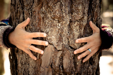 Woman hugging tree bark - fingers with rings and love protection environment nature concept for new...
