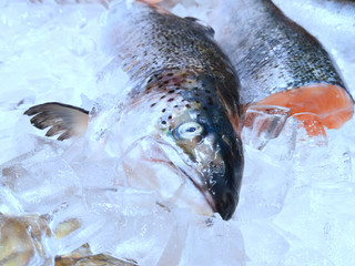 In the store (at home) in the refrigerator in the ice, fresh ready-to-cook (for sale) salmon fish is chopped (whole). Concept of: Fish for sale, Salmon, Sliced, Fresh writing, Market, Shop, Sale.