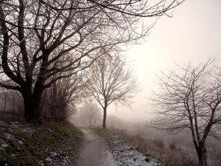 Frost in Ostholstein