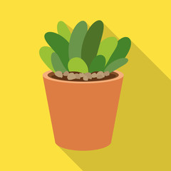 Vector design of cactus and pot sign. Set of cactus and cacti stock symbol for web.