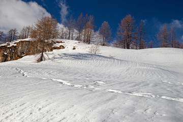 Panoramic view of the sunny snow-covered landscape of the Alpe Sangiatto above the Alpe Devero in Piedmont, Italy.