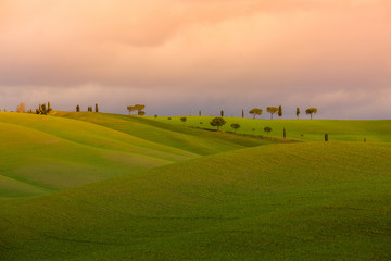 Bright evening Tuscany landscape