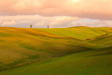 Evening landscape with Tuscany hills