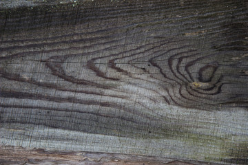 Fototapeta na wymiar Wood texture - Image